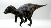 Iguanodon Dinosaur