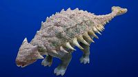 Ankylosaurus Dinosaur