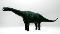 Apatosaurus Dinosaur