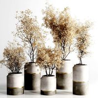 Indoor plant autumn set 304 concrete vase plant tree bush pot
