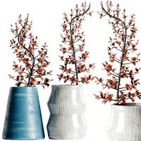 Ekua Ceramics Midnight Vase with plants