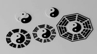 Tai Chi Yin Yang Bagua Tao