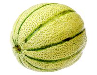 Melon Cantaloupe