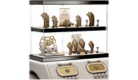 Stylish jewelry showcase 3