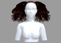 Pigtails Wide Hairstyle