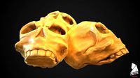 Skull