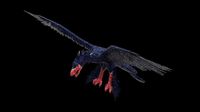 Microraptor