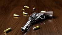 Colt Single Action Army