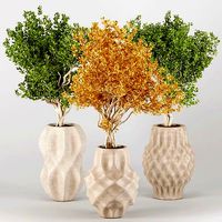 Indoor Plants set 21