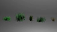 Grass Clumps
