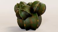 Castus model for unity engine