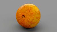 Melon 01