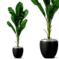 Plants collection 819