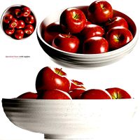 Holden Speckled Bowl with Apples