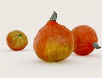Pumpkin - Hokkaido 3d scan 4k textures