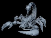 Download free Scorpion 3D Model