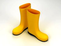 Wellington Rain Boots