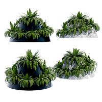 Conical one