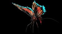 Alien Butterfly Insect