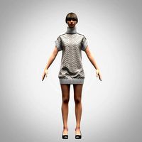 Ladies roll neck dress