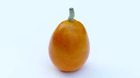 Medlar