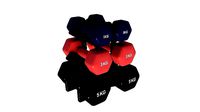 Fitness Dumbbells Rack with Dumbbells