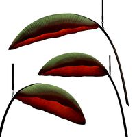 NANA LURE