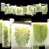 Hanging lightbox plants collection vol 141