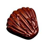 Chocolate Pearl