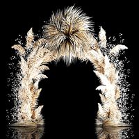 Wedding Arch Made Of Dried Flowers Pampas Grass