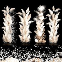 Art Installation Of Dry Branches Dried Flowers