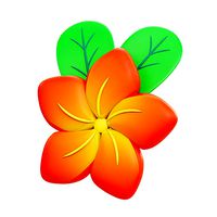 Frangipani Flower