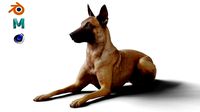 German Shepherd Dog