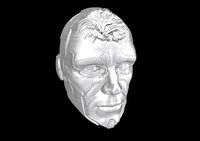 Dead Vision Marvel legends head Infinity war