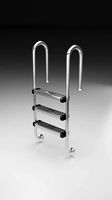 Pool ladder