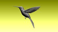 colibri humming bird
