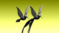 colibri humming bird