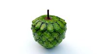 Custard Apple  - Cherimoya