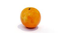 Apricot