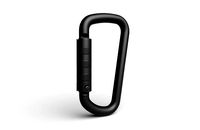 Carabiner Hook 02