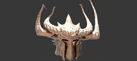 Thule Viking helmet 2