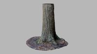Conifer Tree Trunk - Photoscan 3D Model - Varying LOD
