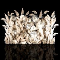 Vertical garden wall made of dry palm branches and pampas grass