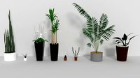 3D Models of plants