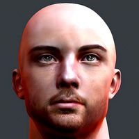 Male head Realistic Perfect Head Low-poly 3D model game ready