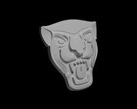 Jaguar face
