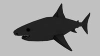 MrShark polite and gentle Free download  3D  models
