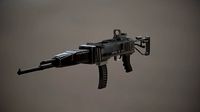 gun assult