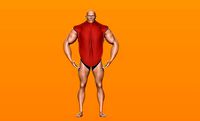 Body Builder