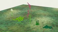 Assortment of 5 flower assets